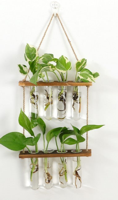 Wall Hanging Glass Terrarium Planter