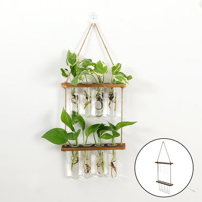 Wall Hanging Glass Terrarium Planter