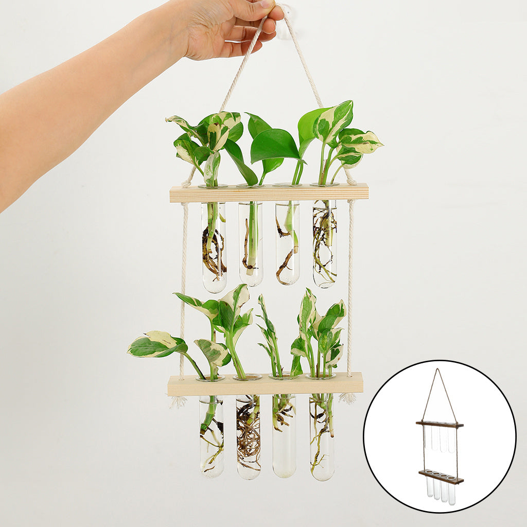 Wall Hanging Glass Terrarium Planter